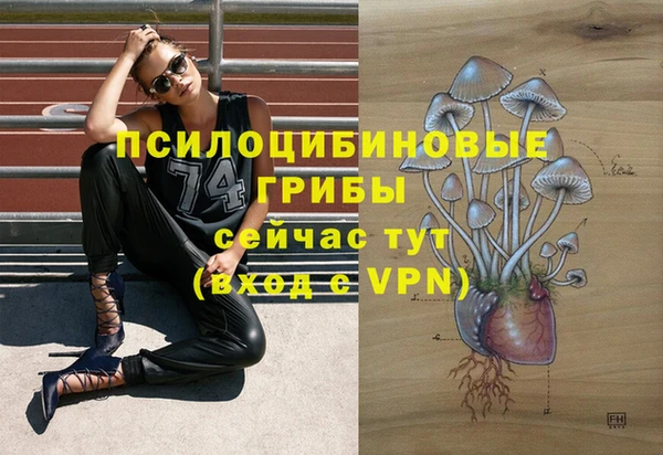 MESCALINE Мегион