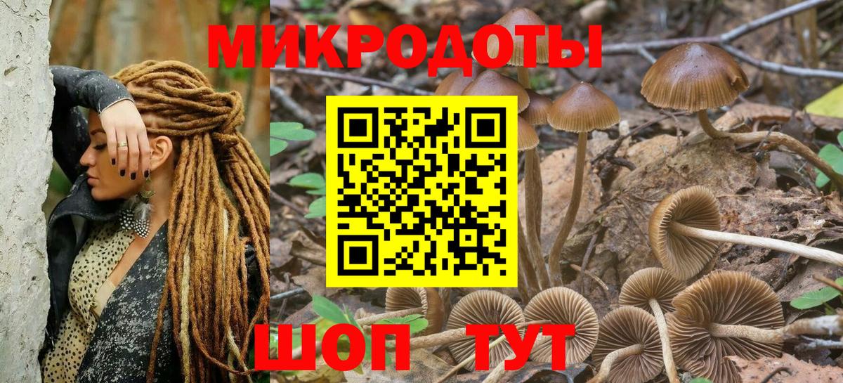 Галлюциногенные грибы Cubensis  Псилоцибиновые грибы ЛСД  Тихорецк  наркошоп  Вход с VPN 