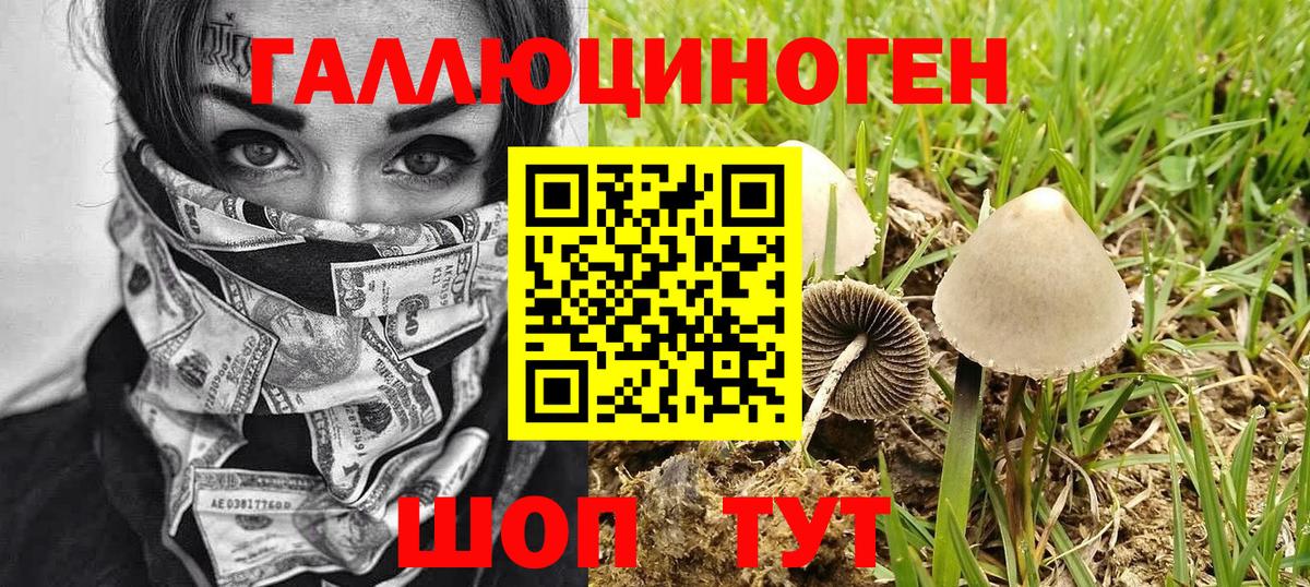 Псилоцибиновые грибы Cubensis Тихорецк